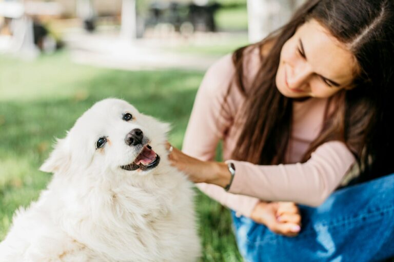 5 måter å oppmuntre til positiv hundeatferd